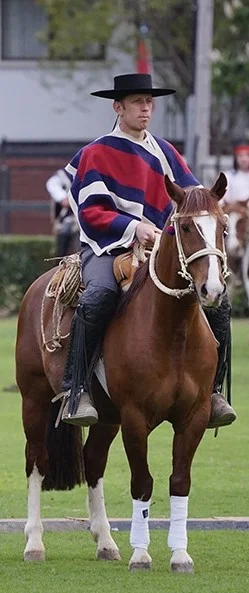 Alfredo Moreno Echeverría, presidente de la Federación del Rodeo Chileno