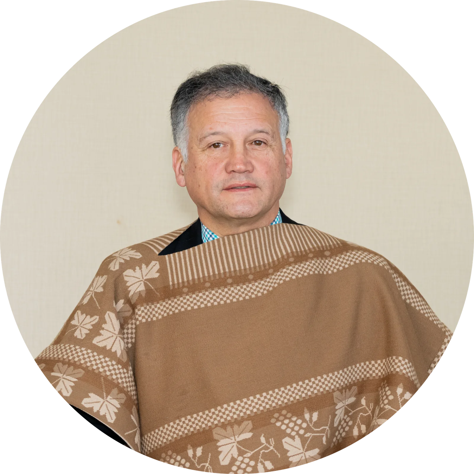Mauricio Bernier Higueras, Vicepresidente