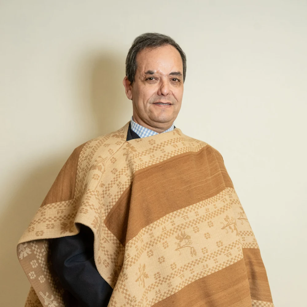 Vittorio Copello Marfull, Director
